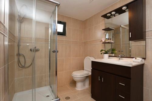 y baño con ducha, aseo y lavamanos. en Douro House, en Tabuaço