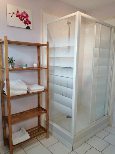 a shower with a glass door in a bathroom at La Margottière chez isa et titi in Rians