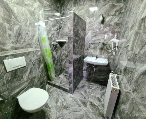 a bathroom with a toilet and a sink at Regina Apartman Hegykő in Hegykő