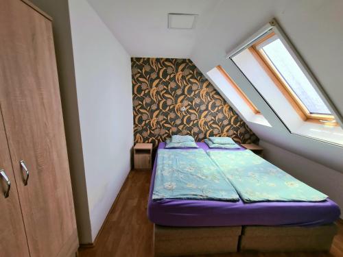 Cama pequeña en habitación pequeña con ventana en Anita Apartman Sopron en Sopron