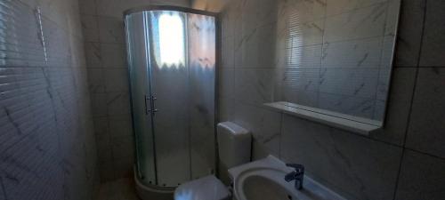 een badkamer met een douche, een wastafel en een toilet. bij Spirit in Međugorje