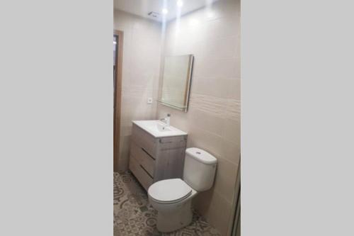 ein Badezimmer mit einem weißen WC und einem Waschbecken in der Unterkunft VITORETXEA casa rural AGUILAR DE CODES in Aguilar de Codés