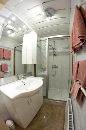 a bathroom with a sink and a shower at Ferienwohnungen Soravia in Gamlitz