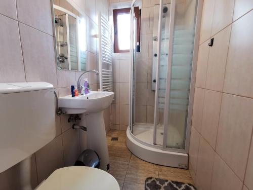 La salle de bains est pourvue d'une douche, de toilettes et d'un lavabo. dans l'établissement Butterfly Apartment-Hidden Gem in the Heart of Targu Mures, à Târgu-Mureş