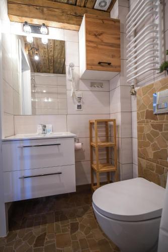 a bathroom with a toilet and a sink and a mirror at Willa Zator in Oświęcim