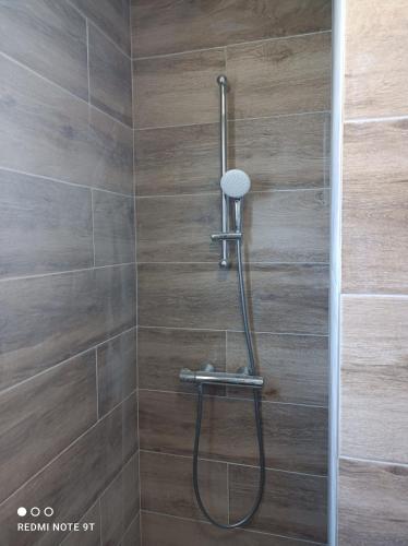 a shower with a shower head in a bathroom at Appartement Fréjus in Fréjus