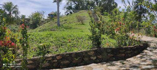 a stone walled area with a stone wall and some bushes at Hostal Brisas del Campo in Guachaca
