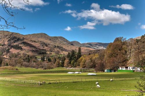 two sheep in a field with mountains in the background at Crow How Country Guest House in Ambleside