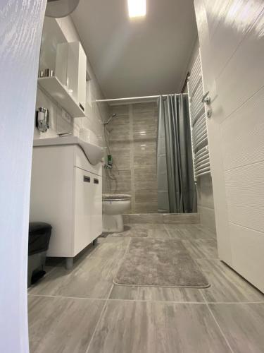 a bathroom with a shower and a toilet in it at Apartmani Mira in Palić