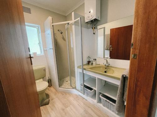 a bathroom with a sink and a toilet and a shower at Leisure Isle Loft Apartment in Knysna