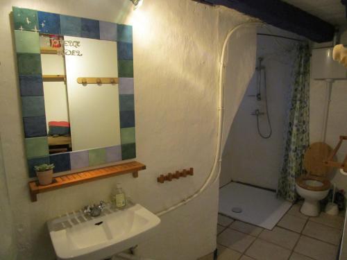 une salle de bain avec un lavabo et un miroir et des toilettes dans l'établissement Grand Gîte à la ferme, à Les Costes-Gozon