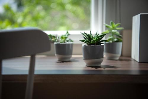 a row of potted plants sitting on a window sill at Travelers New Orleans in New Orleans