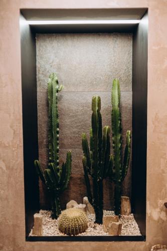 a framed picture of cactuses on a wall at Kulikovskiy hotel in Kharkiv