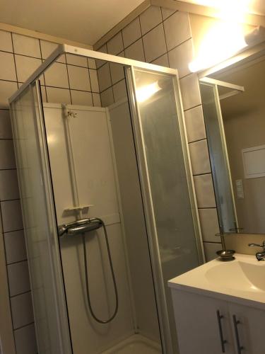 a bathroom with a shower and a sink at Tufte Gård in Ulefoss