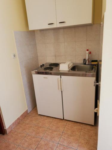 Virtuvė arba virtuvėlė apgyvendinimo įstaigoje Apartments Dabelić