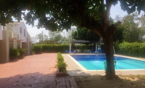 a swimming pool with a tree next to a house at Conjunto Buganviles - in Girardot
