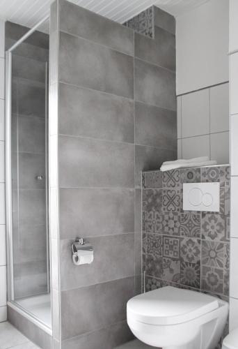 a bathroom with a toilet and a shower at Historische Mühle Vogelsang in Brodenbach