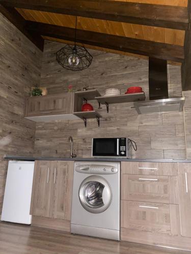 a kitchen with a washing machine and a microwave at Apartamentos Numancia in Garray