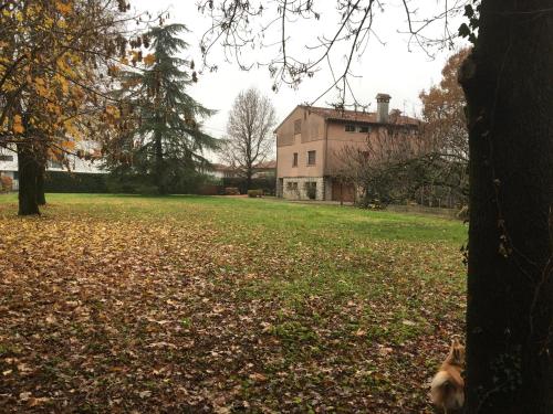 a dog standing in a field with a house at Villa Venezia in Torre di Mosto