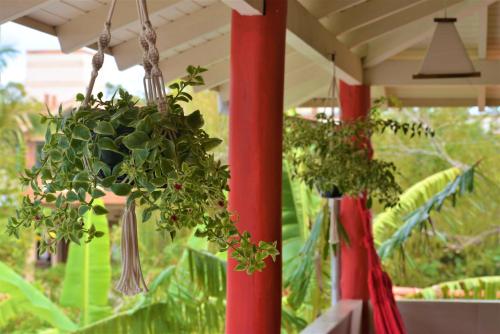 a potted plant hanging from a red pole at Hotel Ferrugem Eco Village in Garopaba