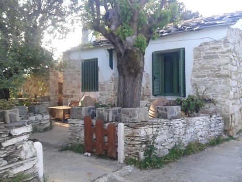 a stone house with a tree and a fence at Stoneworld in Évdhilos
