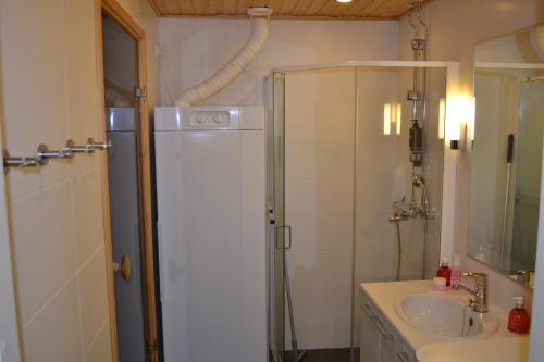 Kúpeľňa v ubytovaní Ylläs Chalets A9206