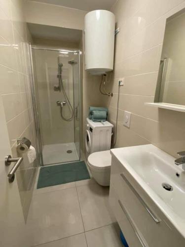 a bathroom with a shower and a toilet and a sink at Apartma Šelih Mandre - Pag in Mandre