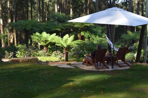 Zahrada ubytování Fern Cottage - Mt Dandenong romance
