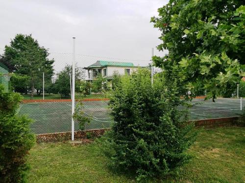 a tennis court with a bush next to a tennis court at Skupljen Resort: Enjoy the Freedom! in Vladimirci
