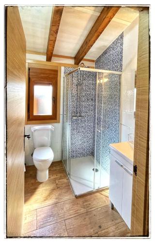 a bathroom with a toilet and a glass shower at Bungalows Cantia in Suances