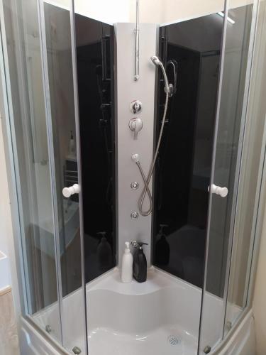a shower with a glass door in a bathroom at Paradise in Aan de Wolfsberg