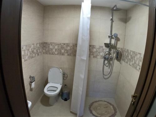 een kleine badkamer met een toilet en een douche bij Cabana Nemtisor in Nemţişor