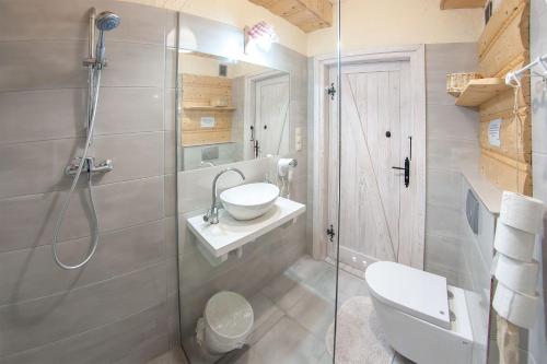 a bathroom with a shower and a toilet and a sink at Chata w Bieszczadzie apartamenty i domki z basenem Bieszczady in Polańczyk
