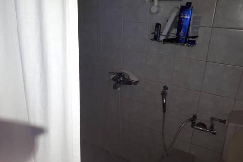 a bathroom with a shower with a shower head at The Orange Grove Garden Room in Mytikas
