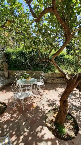 a table and chairs sitting under a tree at Villa Dorothee in Capri