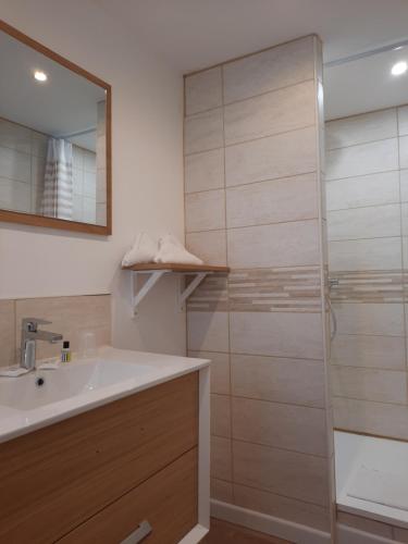 a bathroom with a sink and a shower with a mirror at Auberge du Gros Tilleul in Argoules