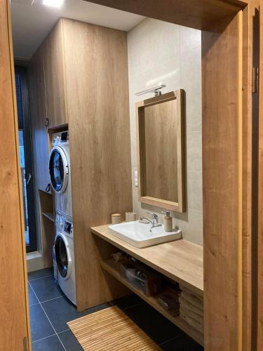 ヴルフラビーにあるApartmán T5 Herlíkoviceの洗面台と洗濯機を備えたバスルーム