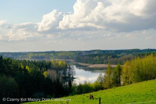 a view of a river with trees and a field at Czarny Kot Mazury Dom Całoroczny in Małkinie
