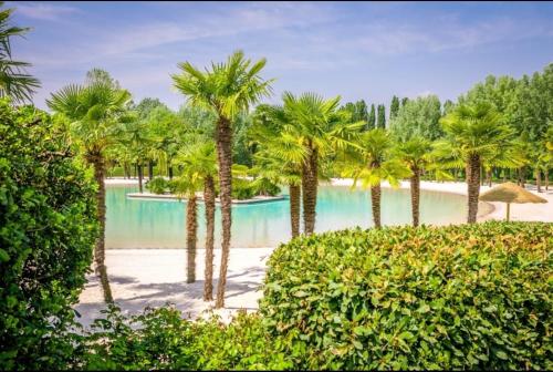 明喬河畔瓦萊焦的住宿－Corte La Guarnigione，棕榈树和游泳池度假村