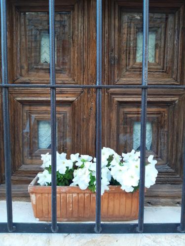 a pot of white flowers in a window at La Sinagoga in Peñaranda de Duero