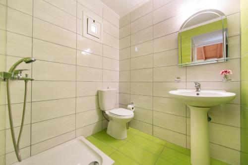 a bathroom with a toilet and a sink at Mediterraneo studios in Vasiliki