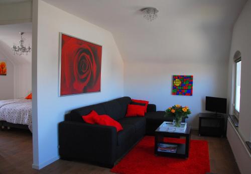 a living room with a black couch and red pillows at Bed and Breakfast de Meule Montfort in Montfort