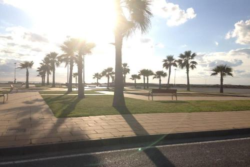 een groep palmbomen in een park bij PRECIOSO Y PEQUEÑO LOFT CENTRO DE CONIL in Conil de la Frontera