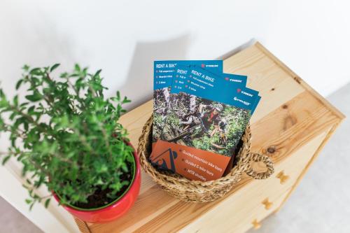 a book sitting on a table next to a potted plant at Positive sport apartments in Kobarid