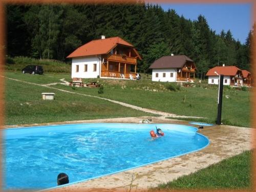 a person in a swimming pool in front of a house at Motylek 4 in Borušov