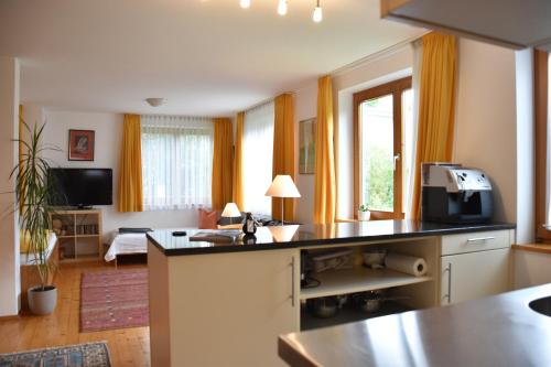 un salon avec une cuisine et un salon avec un canapé dans l'établissement Apartment Denk, à Bregenz