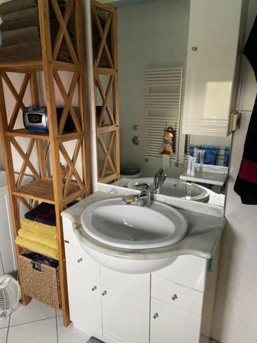 ein Badezimmer mit einem weißen Waschbecken und einem Spiegel in der Unterkunft Dachterrassen Idylle über den Dächern Dresdens in Dresden