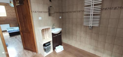 a bathroom with a sink and a toilet in it at K85 Komańcza Baza Noclegowa Wypadowa Bieszczady Beskid Niski in Komańcza