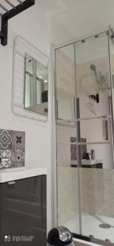 a bathroom with a shower with a glass door at Hotel de la Place in Loyettes