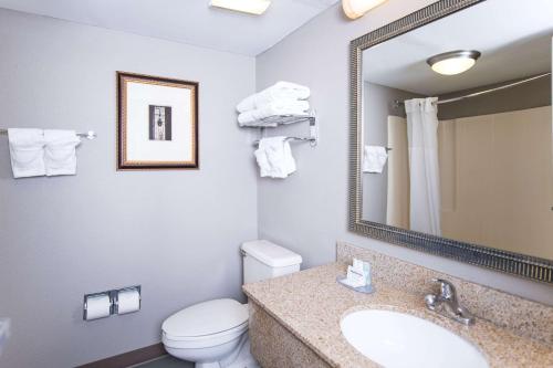 a bathroom with a toilet and a sink and a mirror at Clarion Hotel & Conference Center Leesburg in Leesburg